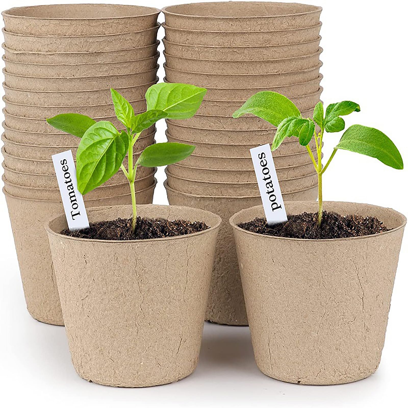 Amazon.co.jp: 育苗カップ 50個セット 育苗ポット 紙植木鉢 育苗箱 花
